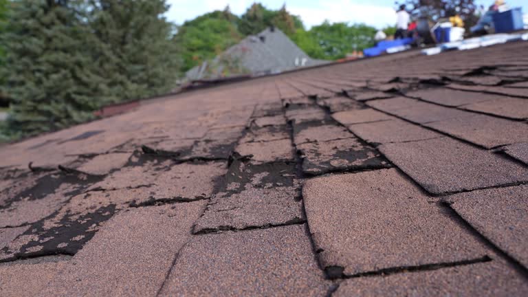 Best Commercial Roofing Services  in Laurel, MS