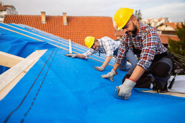 Professional Roofing Service in Laurel, MS