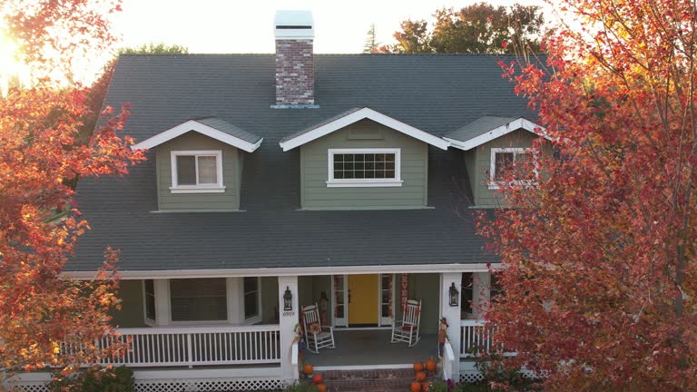 Best Roof Moss and Algae Removal  in Laurel, MS