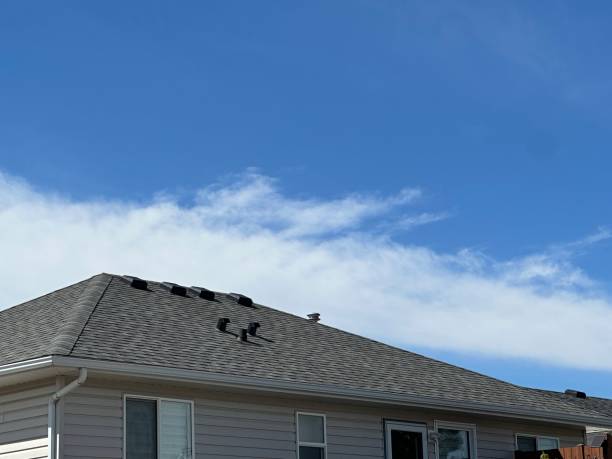 Best Gutter Installation and Repair  in Laurel, MS